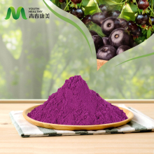 Acai Berry Extract for Immune Support