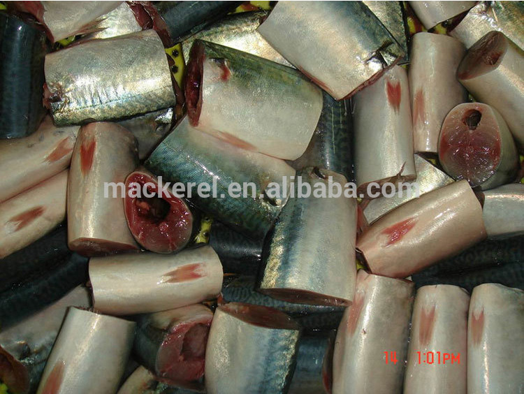 جودة عالية الكاملة تنظيف HGT Pacific Mackerel Round Frozen Fresh Sea Chub