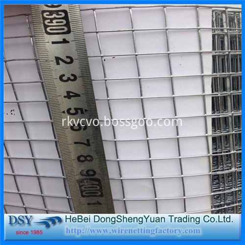 Welded Wire Mesh