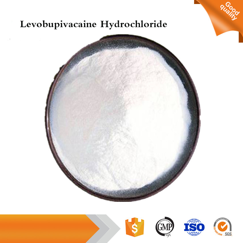 Levobupivacaine Hydrochloride Jpg
