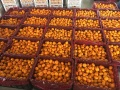 Venda quente no mercado de Bangladesh Baby Mandarin