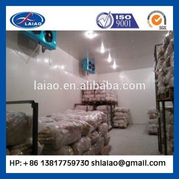 cold storage freezer