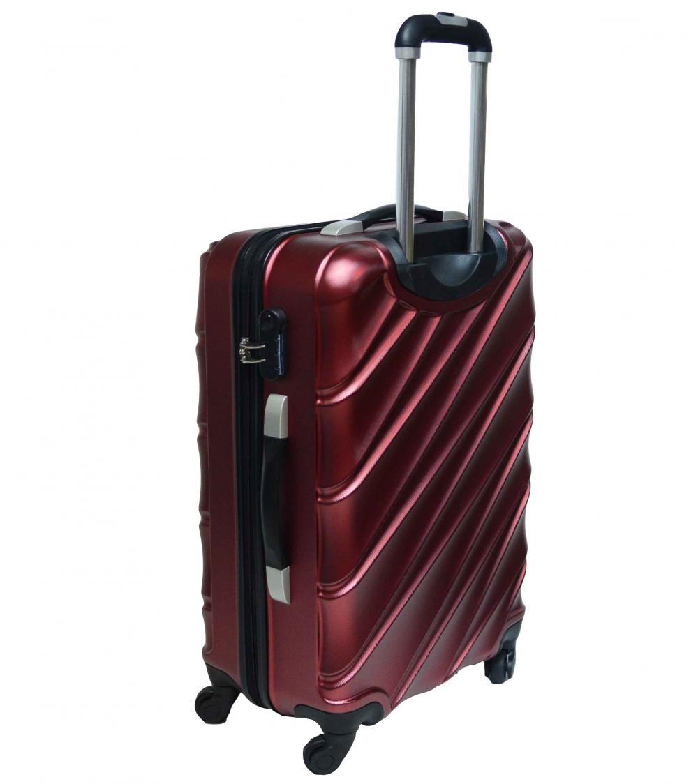 Glossy Pet Luggage Upright