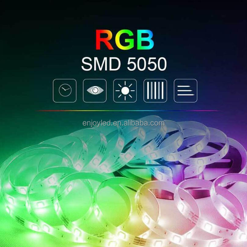 Smart Amazon Alexa Google Home Tuya Wifi BT IP65 Flexible Waterproof Addressable LED Luces Neon 5050 Rgb Kits Led Strip Lights