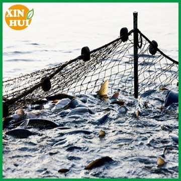 monofilament gill nets seine