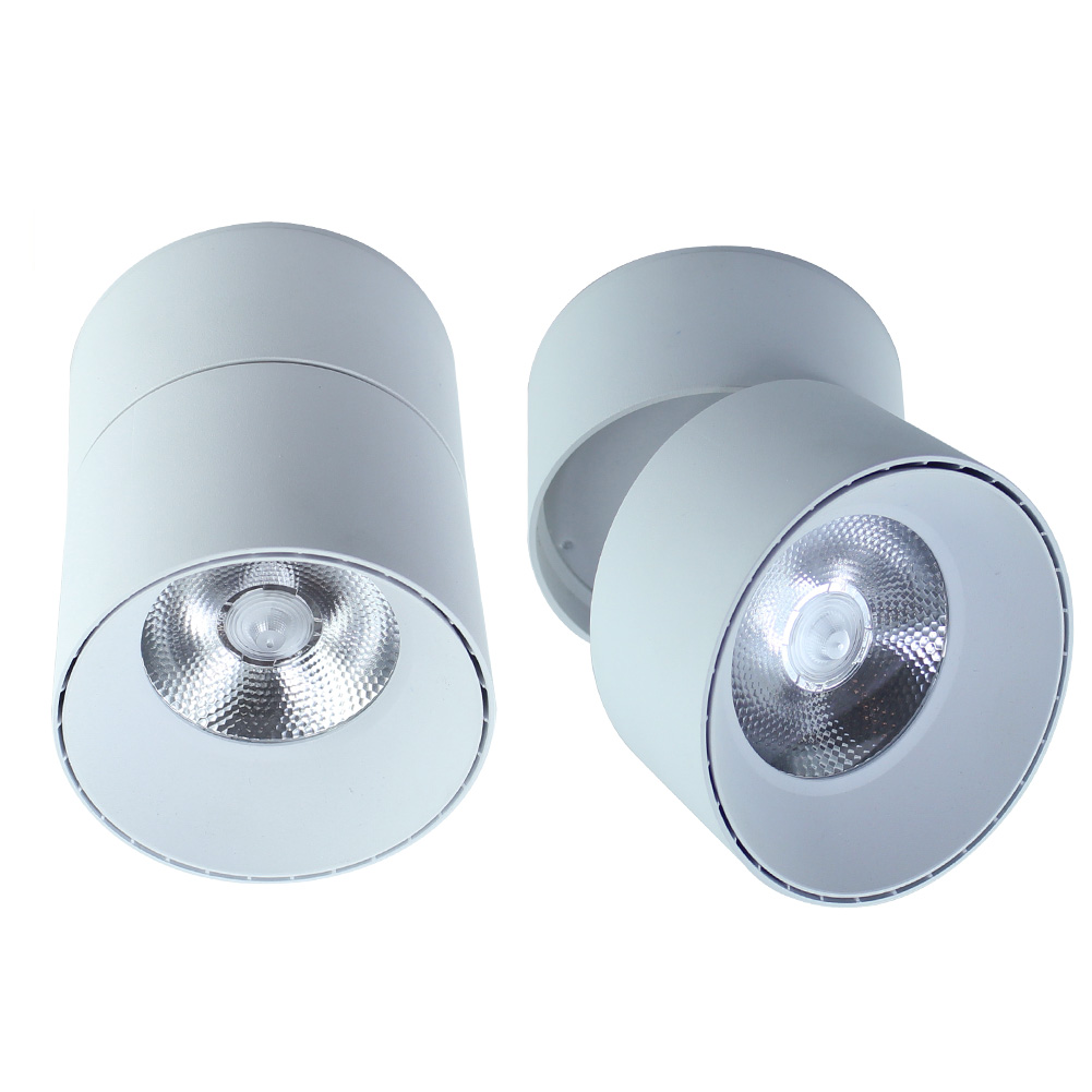 Surface Mounted Downlight Adjustable