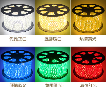 Outdoor AC110V led strip