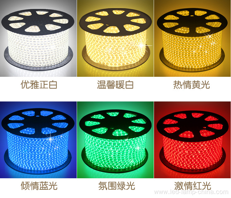 AC110V LED Tape Light LED Strips Factory Direct Sale