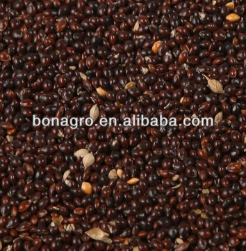 Black millet