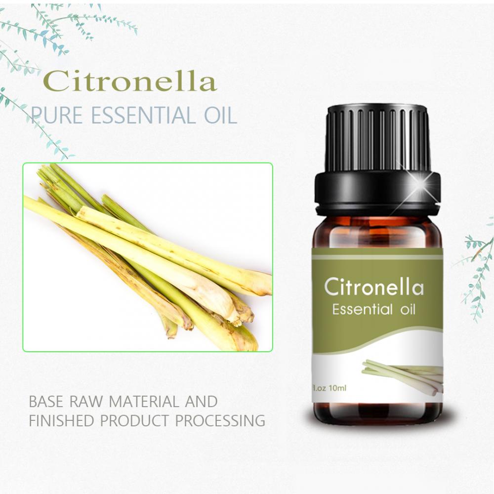 Оптовое массовое эфирное масло Citronella