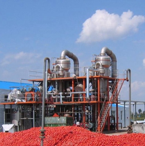 Piccola macchina e attrezzatura in pasta di pomodoro