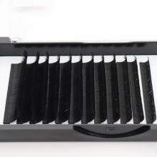 2023 High Quality Wendy Lash Cashmere Volume Lash Tray Eyelash Kit