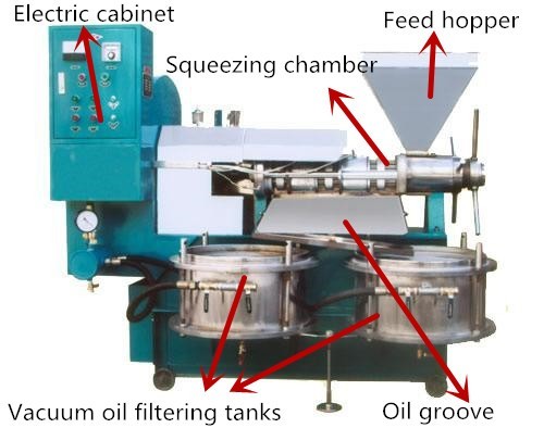 autamatic canola oil press machine oil press used