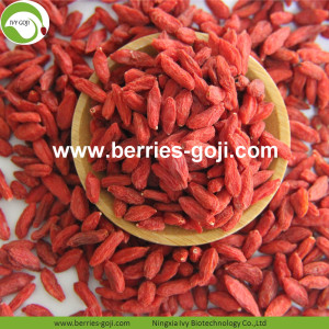 New Arrival For Sale Dried Conventional Goji Berries