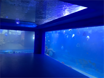 wholesale large acrylic fish tanks for restaurant