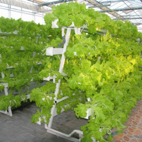 A Type Tower Hydroponics System For Greenhouse Agriculture