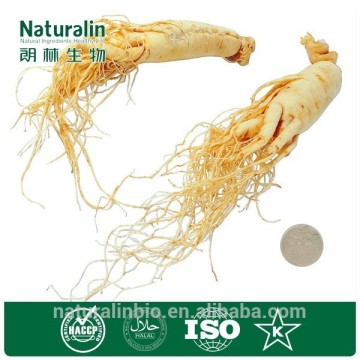 Manufacturer sales ginseng extract for hair care