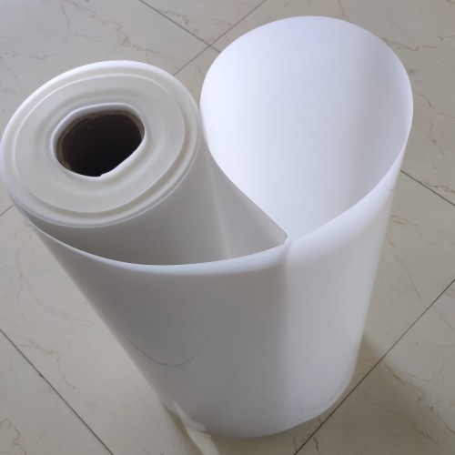 white rigid PP sheet in roll for thermoforming