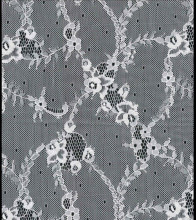 Latest Ivory Fancy Design Lace Fabric for Grament and Hometextile
