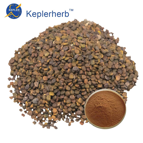 Dodder Seed Extract Powder