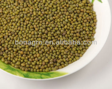 Green mung beans