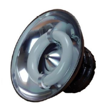 Factory EDL Induction Lamp