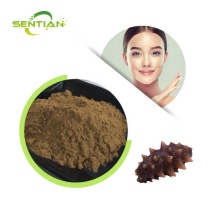 Sea cucumber Extract Powder 15% protein 20% polysaccharide