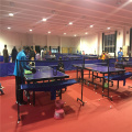 Ping Pong Sport Floor