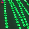 Edificio Decorativo Digital RGB LED Point Light String