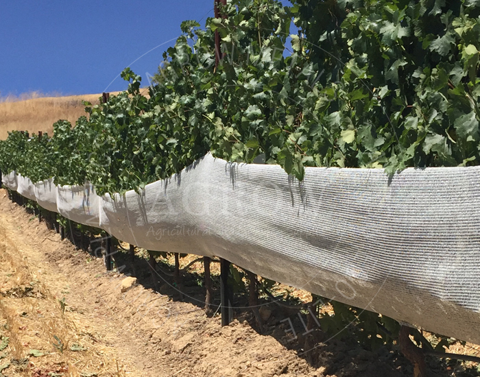 Vineyard Netting Systems