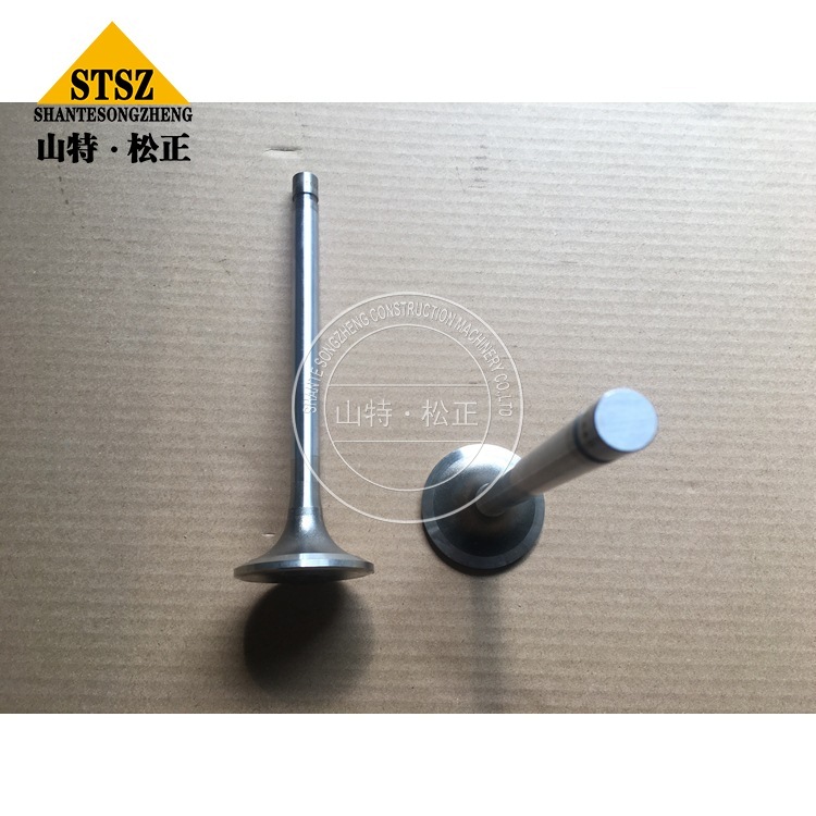 3803529 3 Jpg 3803529 3 Jpg