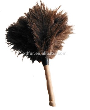 Ostrich feather duster
