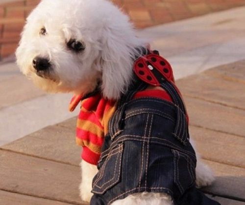 100% Polyester Dog Jumpsuits Personalized Dog Winter Warm Clothes / Puppy Apparel