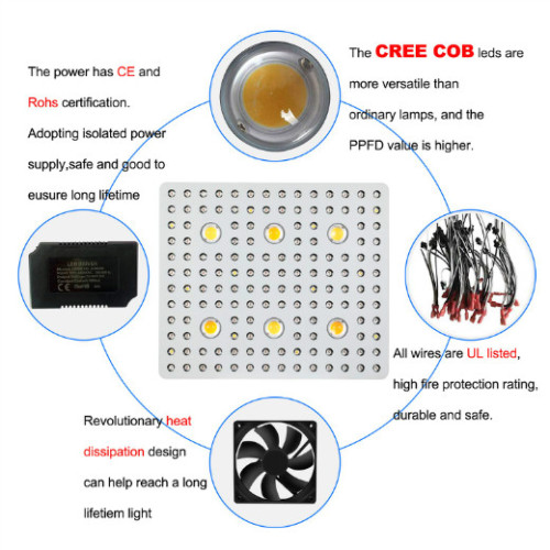 Tumbuhan LED 3000W tumbuh tumbuh ringan