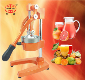 Vegetable and fruit juicer