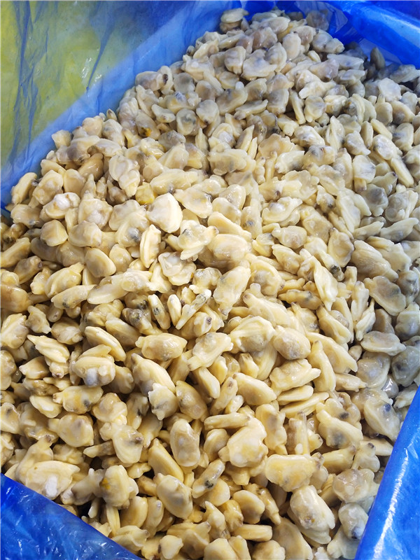 Świeży zamrożony małż gotowany gotowany na krótki czas szyjki