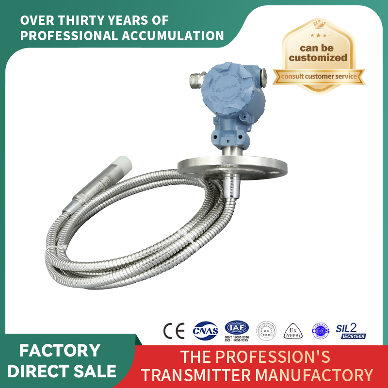 Transmițător de nivel: Indicator de nivel de intrare tip furtun cu flanșă