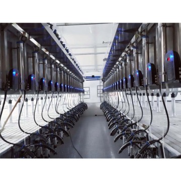Milk Delivery Line and Automatic Milking Parlor