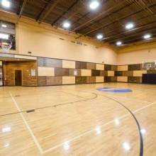 Print Wood Grain Birch Solid Wood Multi-layer floor