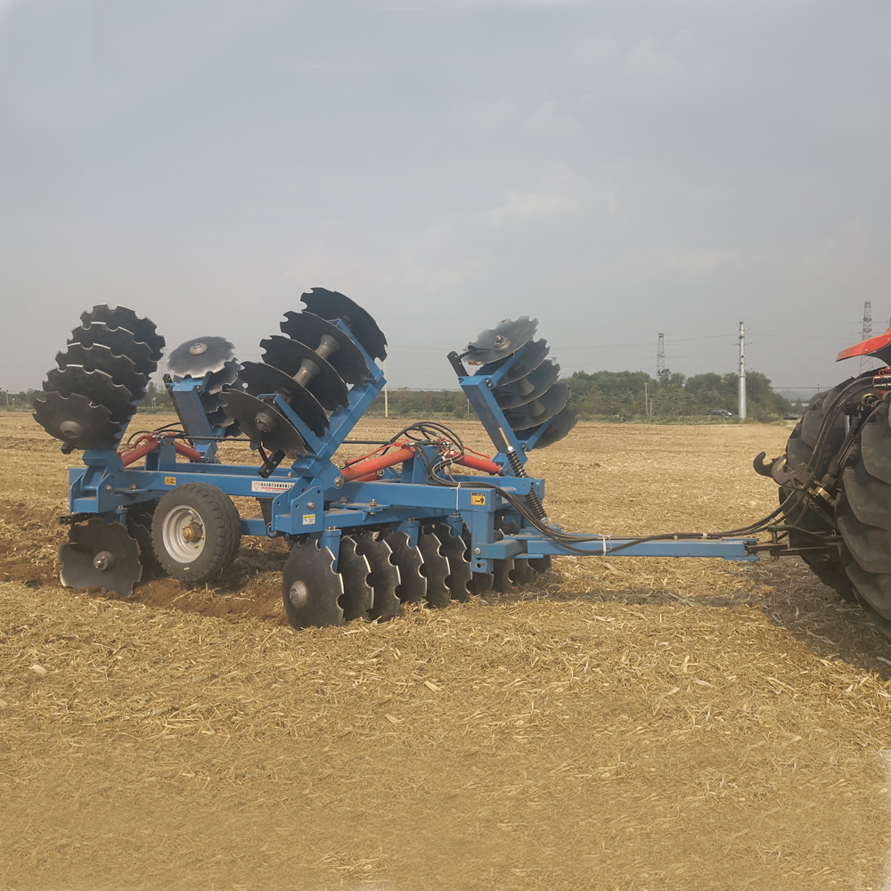 IMG_20200924_150425 IMG_20200924_150425