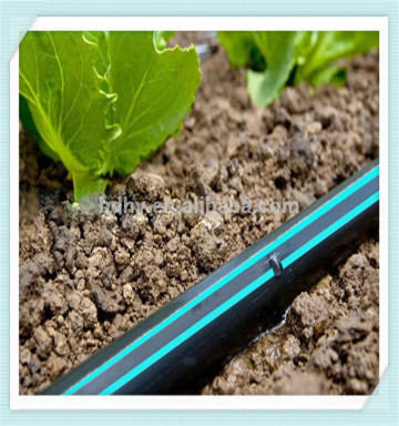 FENGBA Irrigation - Subsurface Drip Irrigation for Rice/Paddy farm fields