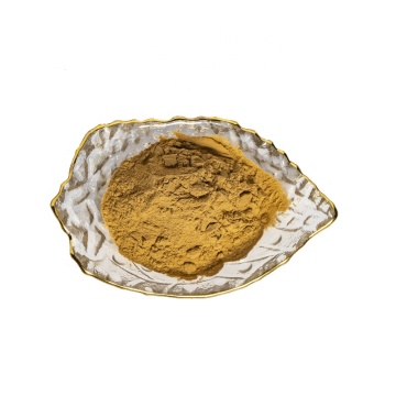 Wolfiporia Cocos Extract Powder Poria Cocos Powder