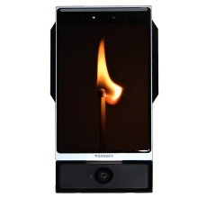 Fingerprint Recognition Safe