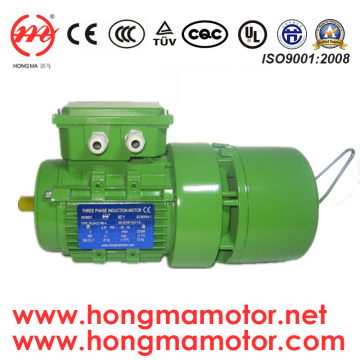 Hmej (AC) Series Self-Braking Electric Motor