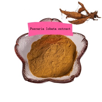 factory supply pueraria lobata extract powder/kudzu root extract