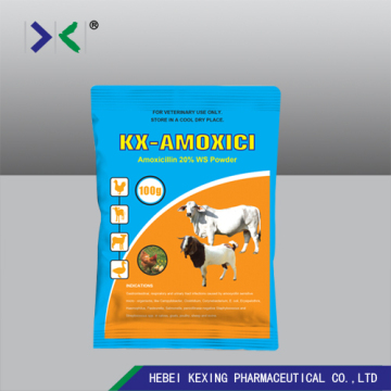 Animal Amoxicillin Water Solution Powder