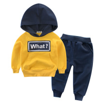 Two-piece boys' clothing kids jogging suits cotton hooded multicolor children's sweat suits