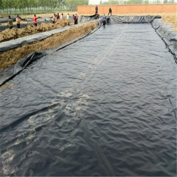 Aquaculture tinhy pond liner polyethylene geomembrane liner