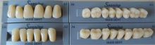 Linear occlusal dentures Seniors posterior