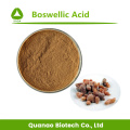 Boswelia Serrata Extract Boswellic Acid 65% HPLC